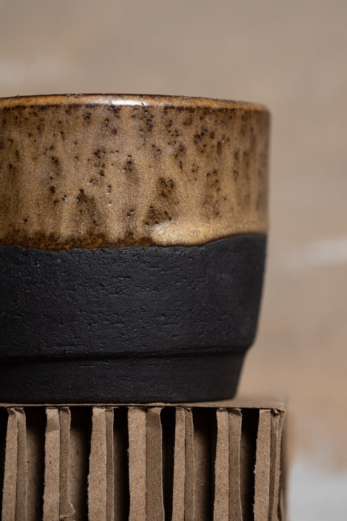 Golden Acorn Mug